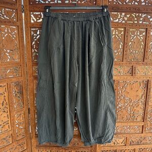 Free People Trouser (black)